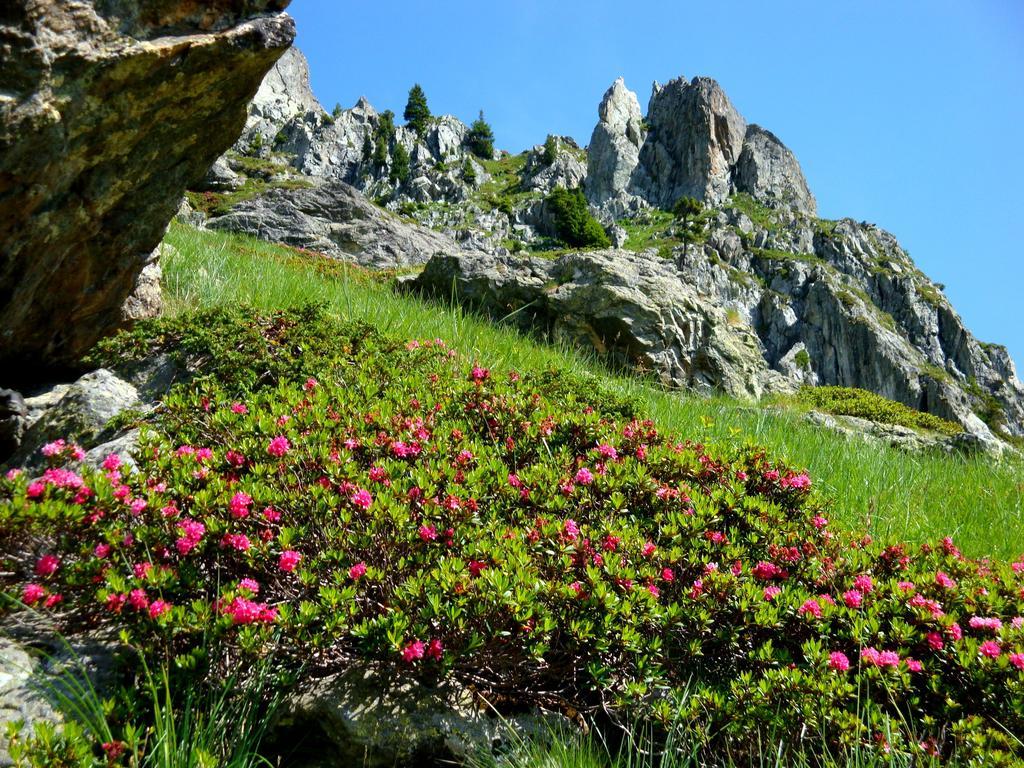 Auberge La Douce Montagne Hotel Allemont Buitenkant foto