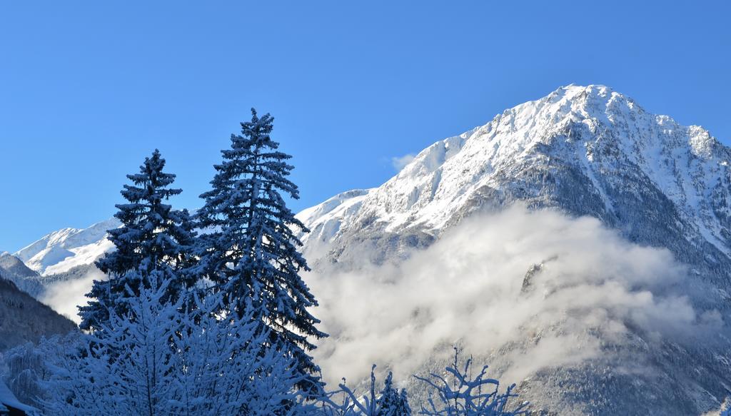 Auberge La Douce Montagne Hotel Allemont Buitenkant foto