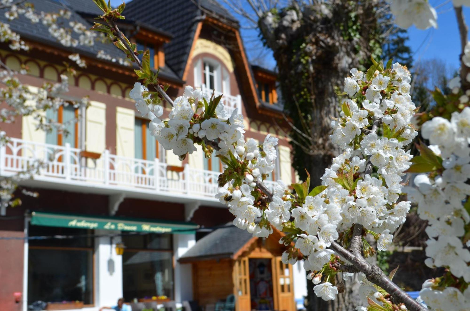 Auberge La Douce Montagne Hotel Allemont Buitenkant foto